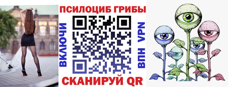Псилоцибиновые грибы Psilocybine cubensis  Купить  Иланский 