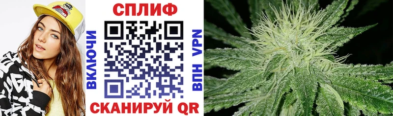 Купить где Иланский Конопля план